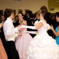 Bal_463
