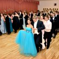 Balle (248)