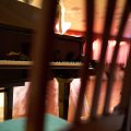 DSC00192