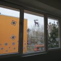 IMG_0770