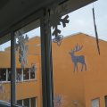 IMG_0777