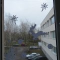IMG_0784