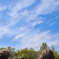 IMG_20260508_130240