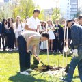 IMG_20260508_130459