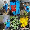 2_ Darja Kuzmina