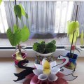 2_ Diana Deksne