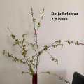 2d Darja_Belajeva