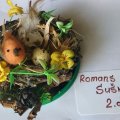 2d Roma_Sushkov (2)