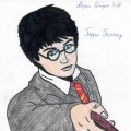 3d Potter