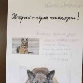 Derovs 2-e-
