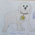 Paeglis 3-a-