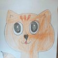 Petrova 3-d-