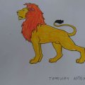 Timonins 2-g-
