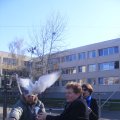 DSCF9481